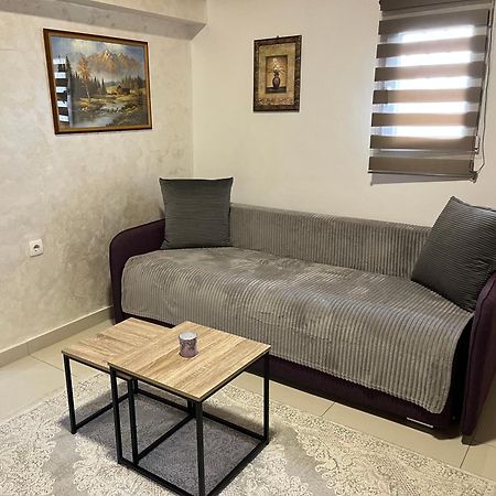 Apartment Helena Airport Podgorica Bagian luar foto