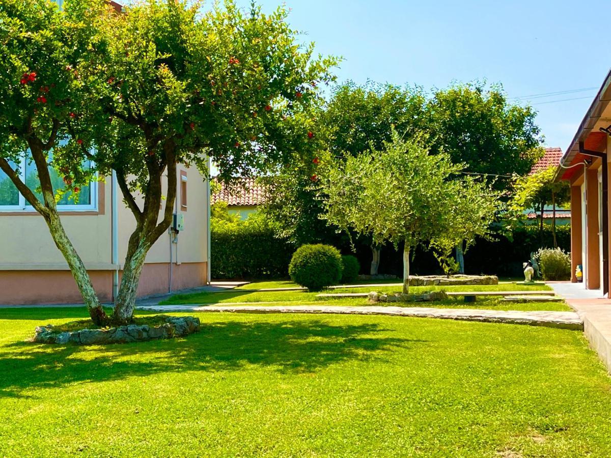 Apartment Helena Airport Podgorica Bagian luar foto