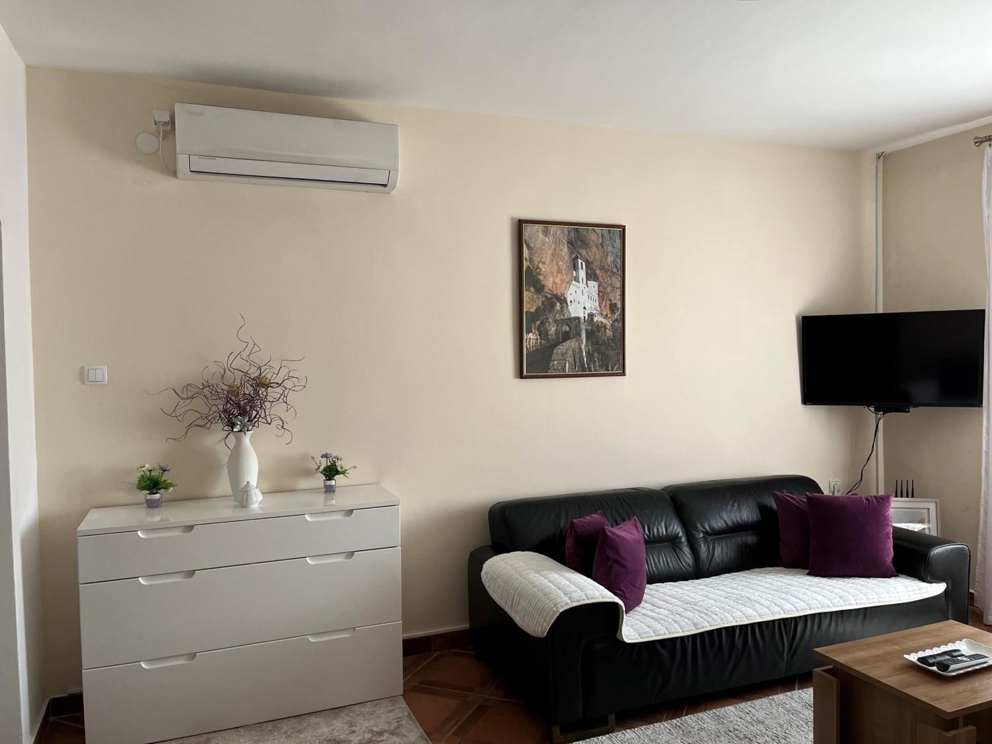 Apartment Helena Airport Podgorica Bagian luar foto